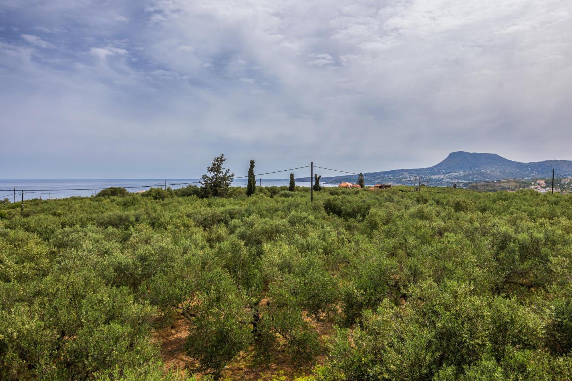 Sea View Villa Manolis With Private Pool Near The Beach Καλύβες Εξωτερικό φωτογραφία